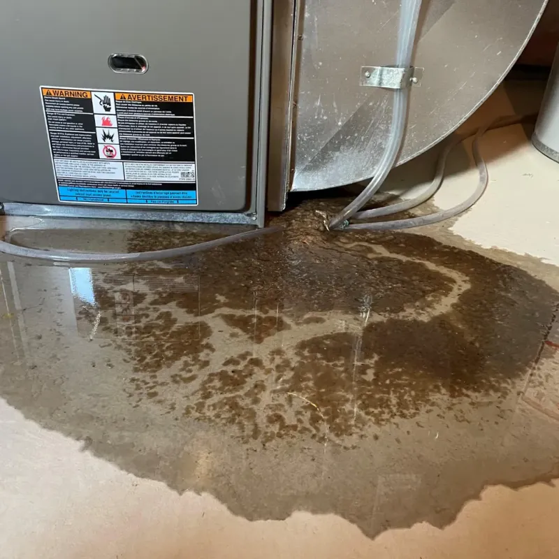 Appliance Leak Cleanup in Koloa, HI