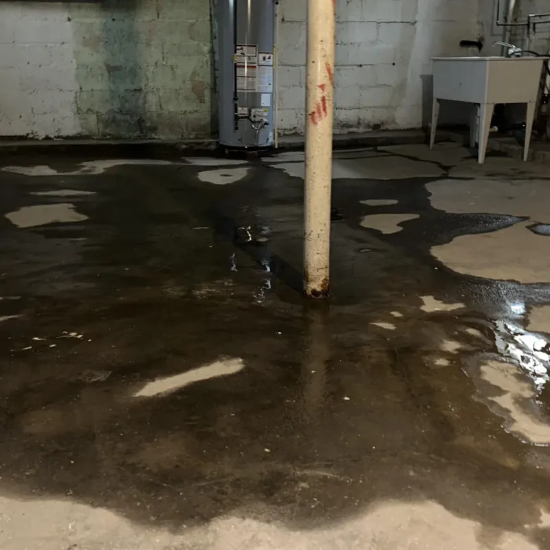 Emergency Water Extraction And Removal in Koloa, HI